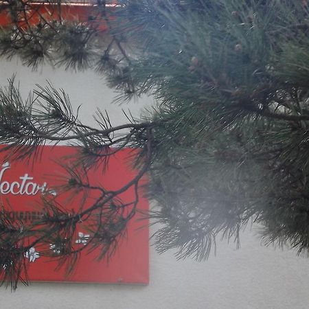 Nectar Hotel Dilijan Εξωτερικό φωτογραφία