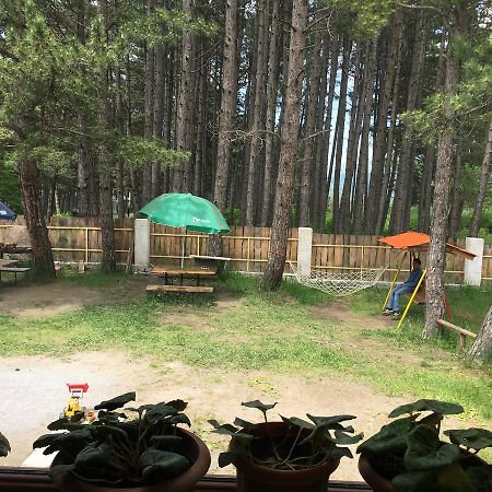 Nectar Hotel Dilijan Εξωτερικό φωτογραφία